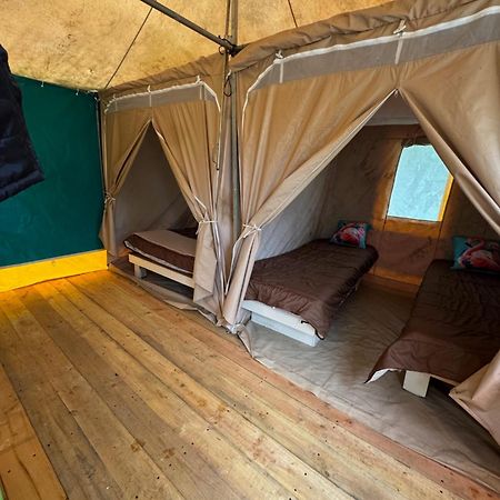 Camping Animal King Esnandes المظهر الخارجي الصورة