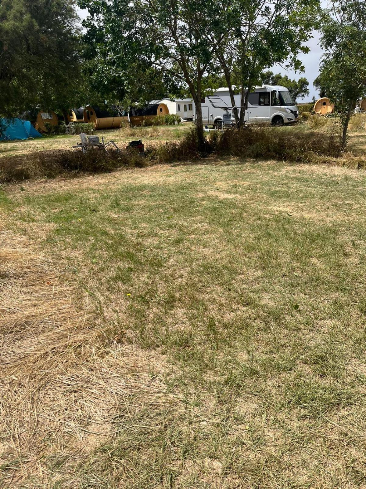Camping Animal King Esnandes المظهر الخارجي الصورة